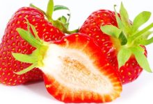 תות שדה - Strawberry