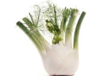 שוּמָר - Foeniculum Vulgare