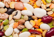 קיטניות – איך מעכלים את זה?