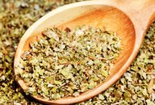 חיים וצמחים – אוֹרֵגָנוֹ