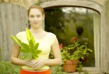 תמצית פרחי באך מספר 18- אימפישנס - אל תיגע בי IMPATIENS