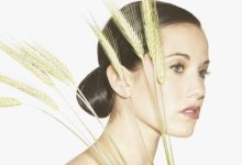 תמצית פרחי באך מספר 23- אוליב - זית OLIVE