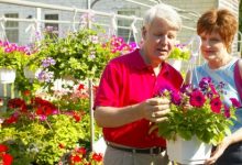 תמצית פרחי באך מספר 31- וורוין - ורבנה VERVAIN