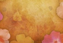 תמצית פרחי באך מספר 38- ווילו - ערבה WILLOW