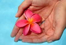 מעבדות לחירות בתוך עצמי