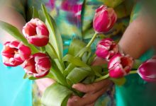 איזון הצ'אקרה השנייה - צ'אקרת המין בעזרת פרחי באך