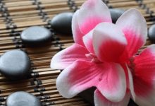 תמציות פרחי באך – מתנה מה"טבע" כי טוב ברא עולם