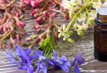 אבחון וטיפול בפרחי באך