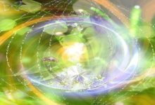 טכניקת האיזון האלקטרונגנטי ה- EMF