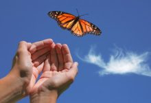 שיטת המסע של ברנדון בייס