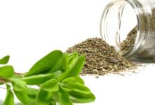 נפלאות הזעתר/ אזוב מצוי