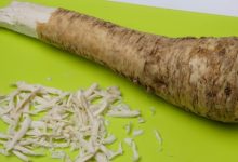 חזרת הגינה (armoracia cochleara)