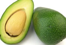 אבוקדו (persica americana)