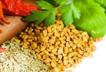 חילבה/ גרגרנית יוונית (trigonella foenum-graecum)