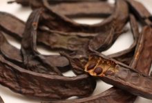 חרובים (ceratonia siliqua)