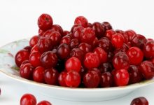 חמוציות/cranberry (vaccinum oxycoccus)