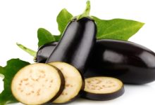 חציל (solanum melongena)