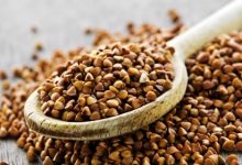 כוסמת (Fagopytum esculentum)