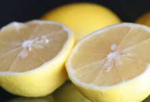 לימון (Citrus limon)