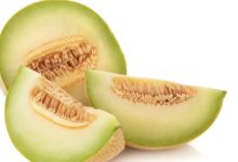 מלון (Cucumis melo)