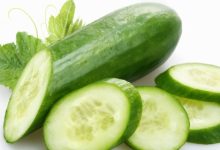 מלפפון (Cucumis sativus)