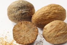 אגוז מוסקט (myristica fragrans)