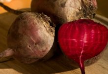 סלק אדום (beta vulgaris)