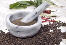 פלפל שחור (Piper nigrum)