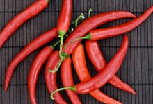 פלפלת חריפה/צ'ילי (capsicum frutenscen)