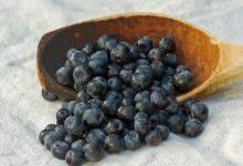 אוכמניות(vaccinium myrtillus)