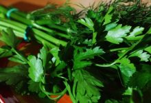 פטרוזיליה (petroselinum)