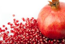 רימון מצוי (Punica granatum)