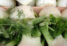 שומר (foeniculum vulgar)