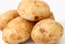 תפוח אדמה (solanum tuberosum)