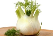 שומר- כלבו של צמח