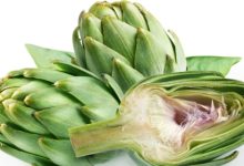 ארטישוק (cynara scolymus)