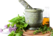 המדריך למתחיל בצמחי מרפא