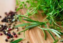 טיפול בבעלי חיים בעזרת צמחי מרפא