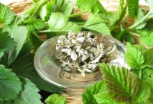 צמחי מרפא- טיפול תומך בסרטן