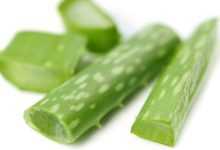 אלוורה - Aloe vera