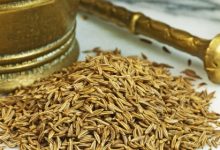 קימל- כרוויה תרבותית