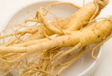 צמח הג'ינסנג