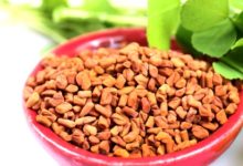 גרגרנית יוונית - חילבה