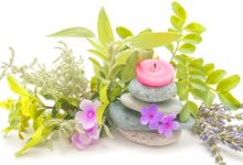 צמחי מרפא סיניים ומזונות להגברת פוריות הגבר והאישה