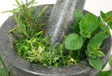 ניקוי ושיפור תפקוד כבד בעזרת צמחי המרפא