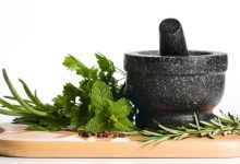 צמחי מרפא – מבוא לצמחי מרפא מערביים וסיניים-סיום מנוי