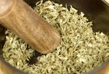 כיצד צמחי מרפא עובדים? הסוד הוא האדפטוגנים-סיום מנוי