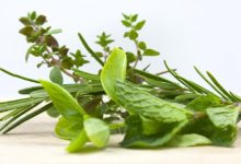 מהם צמחי מרפא?-סיום מנוי