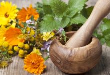 צמחי מרפא סיניים לטיפול בפוריות האישה