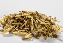 ליקוריש /שוש קירח (Glycyrrhiza glabra)